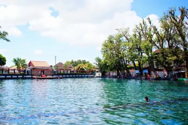 Umbul Ponggok Klaten, A Natural Water Destination Offering Stunning Underwater Beauty and Unique Snorkeling Experience